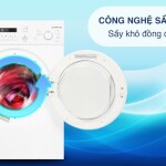 Máy sấy thông hơi Whirlpool 7kg AWD712S2